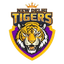 NDT Logo