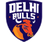 Delhi Bulls Flag