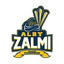 Team Logo