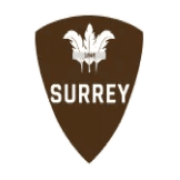 Team logo