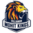 Villianur Mohit Kings Flag