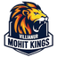 VMK Logo